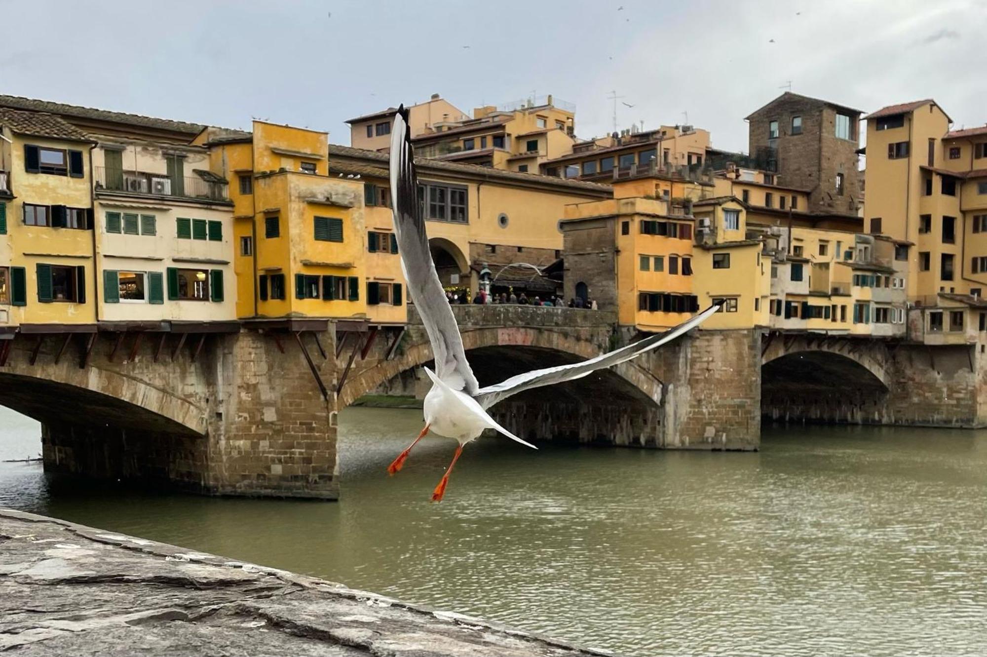 Modern Apartments In The Heart Of Firenze Esterno foto